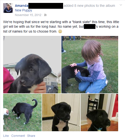 Lefty - Facebook Post - new puppy