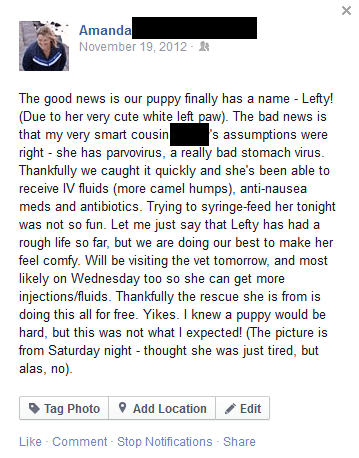 Lefty - Facebook Post - Parvo