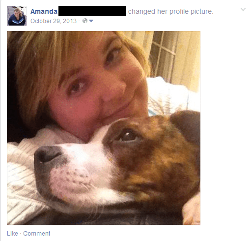 Ollie - Facebook Post 3