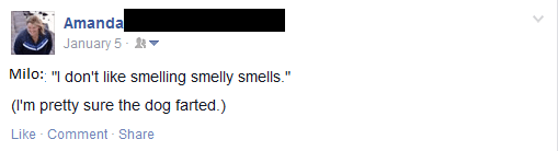 Ollie - Smelly Smells