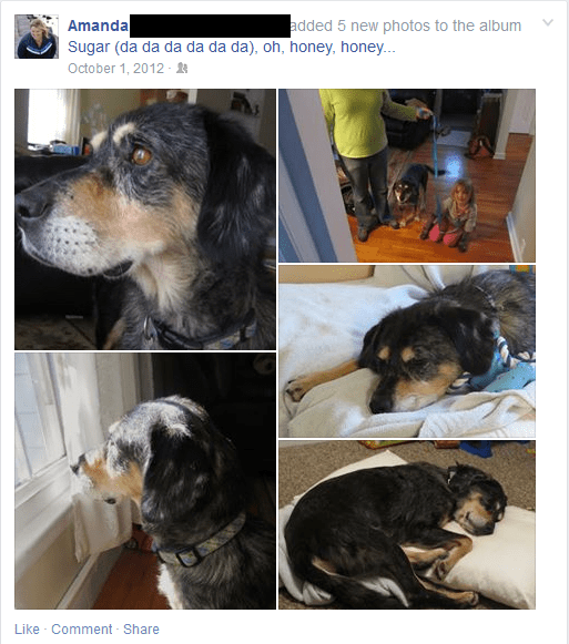 Sugar - Facebook Post 1 album