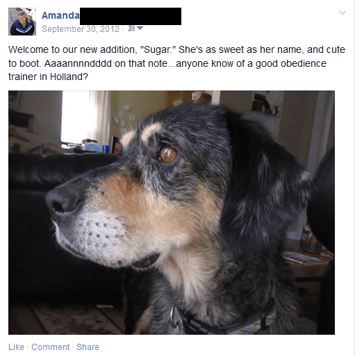 Sugar - Facebook Post 1