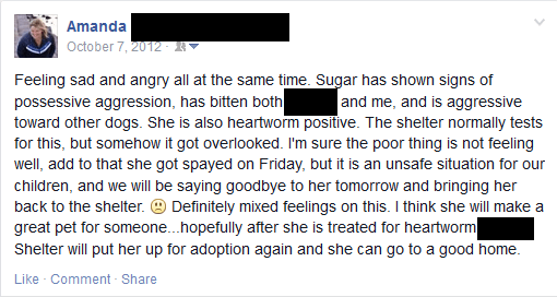 Sugar - Facebook Post 2